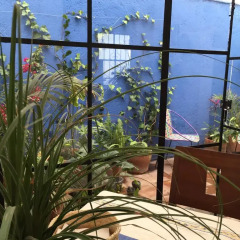Отель Casa Molcajete Мексика, Мехико - отзывы, цены и фото номеров - забронировать отель Casa Molcajete онлайн балкон