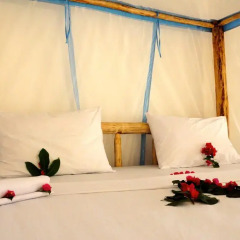 Отель Blue Reef Sport and Fishing Lodge & Bungalows 3* Стандартный номер с различными типами кроватей фото 4