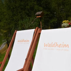 Отель Waldheim Апартаменты фото 9