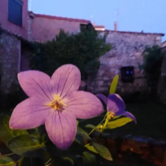 Отель La Casa de la Abuela Petra балкон