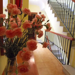 Отель Hostal Marbella Испания, Фуэнхирола - отзывы, цены и фото номеров - забронировать отель Hostal Marbella онлайн интерьер отеля