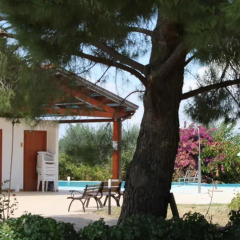 Отель Agriturismo La Collinetta Нова-Сири детские мероприятия