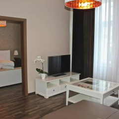 Отель Moravia Boutique Apartments Чехия, Карловы Вары - отзывы, цены и фото номеров - забронировать отель Moravia Boutique Apartments онлайн комната для гостей фото 5