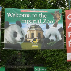 Отель Apartment24-Schönbrunn Zoo Австрия, Вена - отзывы, цены и фото номеров - забронировать отель Apartment24-Schönbrunn Zoo онлайн городской автобус