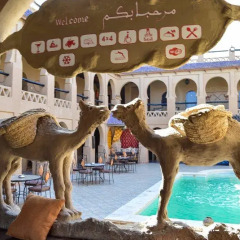 Отель Bivouac NasserPalace Марокко, Мерзуга - отзывы, цены и фото номеров - забронировать отель Bivouac NasserPalace онлайн с домашними животными