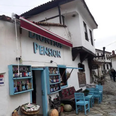 Отель Dionysos Pension гостиничный бар