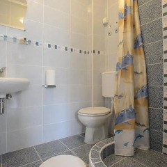 Hostel Zlatna Greda Нови Сад ванная