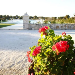 Отель Trulli Pietra Preziosa Италия, Альберобелло - отзывы, цены и фото номеров - забронировать отель Trulli Pietra Preziosa онлайн пляж фото 2