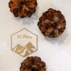 Отель Alpini Apartamenty Закопане питание