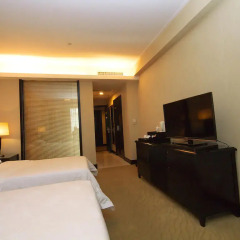 King Garden Hotel удобства в номере