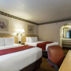 Comfort Inn Palo Alto Stanford University In Palo Alto United