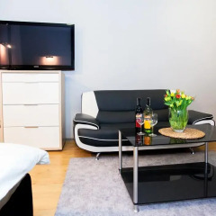 Апартаменты Studio Apartament Centrum Katowice Апартаменты с различными типами кроватей фото 2