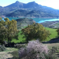 Отель El Rinconcito Захара фото 3