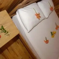Changa Hotel Бунгало с различными типами кроватей фото 4