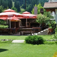 Отель Family Hotel Shoky Болгария, Чепеларе - отзывы, цены и фото номеров - забронировать отель Family Hotel Shoky онлайн бассейн