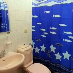 Гостевой Дом Dionysos Lodge Стандартный номер с разными типами кроватей фото 17