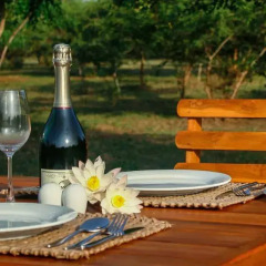 Отель The Naturalist Luxury Tents Другое фото 6