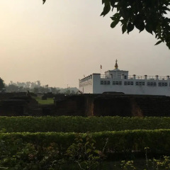 Отель Lumbini Buddha Garden Resort Непал, Лумбини - отзывы, цены и фото номеров - забронировать отель Lumbini Buddha Garden Resort онлайн фото 3