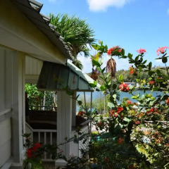 Отель Yap Pacific Dive Resort Федеративные Штаты Микронезии, Яп - отзывы, цены и фото номеров - забронировать отель Yap Pacific Dive Resort онлайн фото 3