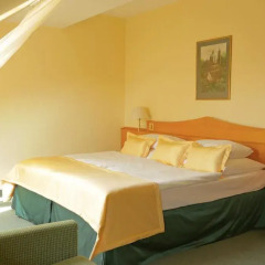 Best Western City Hotel Moran 4* Номер Делюкс с различными типами кроватей
