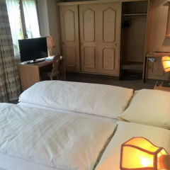 Hotel Alphorn 3* Номер Комфорт с различными типами кроватей фото 2
