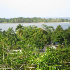 Отель Pineapple Hill Sea View Cottage Порт Антонио приотельная территория