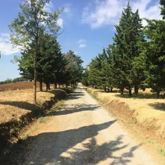 Отель Agriturismo IPoderi Pietraporciana Кьянчиано Терме пляж