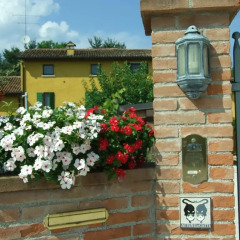 Отель B&B Casacasina Италия, Монцамбано - отзывы, цены и фото номеров - забронировать отель B&B Casacasina онлайн фото 6