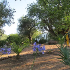 Отель Quinta dos Valados детские мероприятия