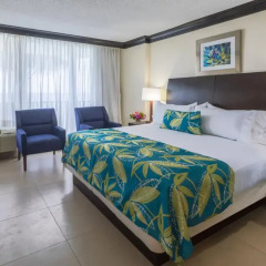 Отель Holiday Inn Resort Montego Bay All Inclusive 3* Стандартный номер с различными типами кроватей фото 3