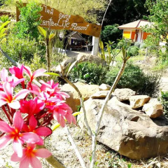 Отель Phu Lanta Life Ланта фото 9