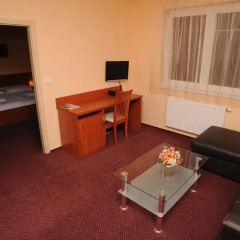 Hotel Olympionik 3* Стандартный номер фото 7