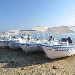 Отель Xalonia Seaview Ситония приотельная территория