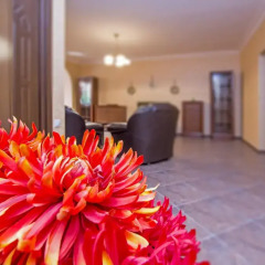 Отель FlatsInYerevan - Apartments at Vardanants Street Армения, Ереван - отзывы, цены и фото номеров - забронировать отель FlatsInYerevan - Apartments at Vardanants Street онлайн интерьер отеля
