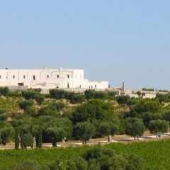 Отель Masseria Amastuola Wine Resort Криспьяно фото 4