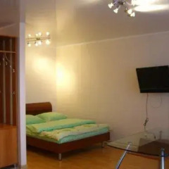 Апартаменты Luxcompany Apartment Южная комната для гостей фото 5