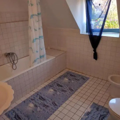 Отель Guest house Magyar Route 66 Венгрия, Силвашварад - отзывы, цены и фото номеров - забронировать отель Guest house Magyar Route 66 онлайн ванная