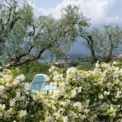 Отель Locanda Da Vittorio Манерба-дель-Гарда фото 3