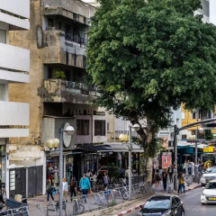 The White House Hotel At Dizengoff Square Израиль, Тель-Авив - 2 отзыва об отеле, цены и фото номеров - забронировать отель The White House Hotel At Dizengoff Square онлайн фото 7