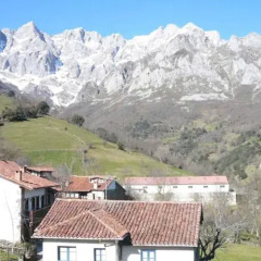 Отель Apartamentos Rurales Los Picos de Redo Испания, Камалено - отзывы, цены и фото номеров - забронировать отель Apartamentos Rurales Los Picos de Redo онлайн фото 9