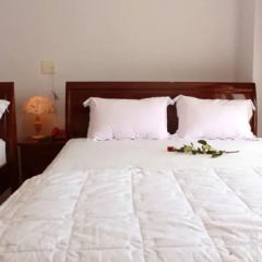 Cozy Hotel 2* Стандартный номер с различными типами кроватей