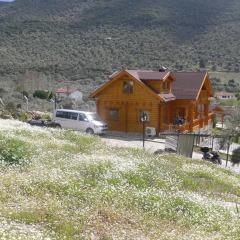 Natureland Efes 3* Стандартный номер с различными типами кроватей фото 10