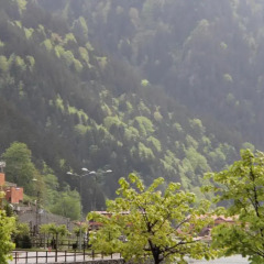 Uzungol Kusva Apart Турция, Узунгёль - отзывы, цены и фото номеров - забронировать отель Uzungol Kusva Apart онлайн фото 3