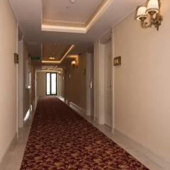 Istanbul Town Hotel 4* Номер Делюкс с различными типами кроватей фото 7