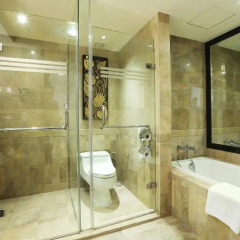 Royal Orchid Sheraton Hotel & Towers 5* Номер Делюкс с различными типами кроватей фото 7