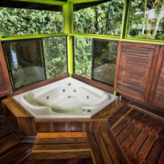Отель Chachagua Rainforest Ecolodge 3* Стандартный номер с различными типами кроватей фото 4