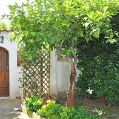 Отель Villa Mary Фонтане-Бьянке фото 6