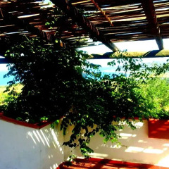 Отель Agriturismo Tarkè Синискола фото 2