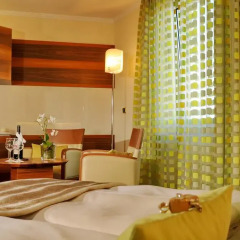 Hotel Torbrau 4* Номер Делюкс с различными типами кроватей фото 5
