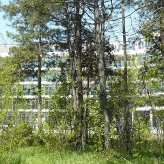 Отель Solmarin Apartcomplex Болгария, Солнечный берег - отзывы, цены и фото номеров - забронировать отель Solmarin Apartcomplex онлайн приотельная территория